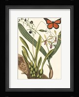 Butterfly and Botanical IV Fine Art Print