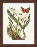 Butterfly and Botanical IV Fine Art Print