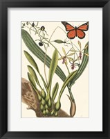 Butterfly and Botanical IV Fine Art Print