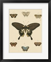 Heirloom Butterflies I Fine Art Print