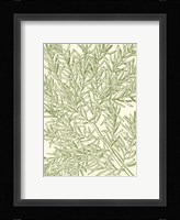 Mossy Branches I Fine Art Print