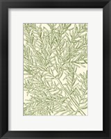Mossy Branches I Fine Art Print