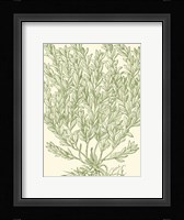 Mossy Branches II Fine Art Print