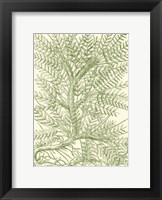 Mossy Branches III Fine Art Print