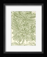 Mossy Branches IV Fine Art Print