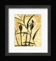 Ginger Fine Art Print