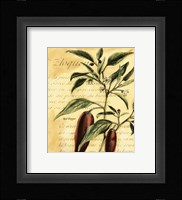 Red Pepper Fine Art Print