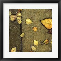 Wet Pavement IV Framed Print