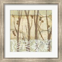 Willow and Lace III Fine Art Print