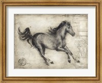 Roman Horse I Fine Art Print