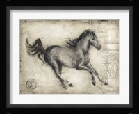 Roman Horse I Framed Print