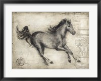 Roman Horse I Fine Art Print