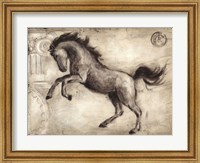 Roman Horse II Fine Art Print