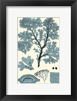Azure Seaweed I Fine Art Print