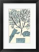 Azure Seaweed II Fine Art Print