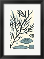 Azure Seaweed III Fine Art Print