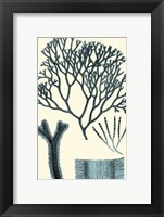 Azure Seaweed IV Fine Art Print