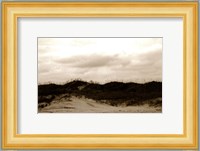 Ocracoke Dune Study I Fine Art Print