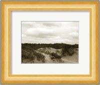 Ocracoke Dune Study II Fine Art Print