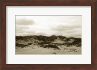 Ocracoke Dune Study III Fine Art Print