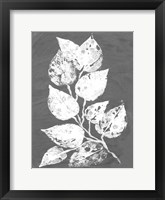 Frosty Philodendron II Framed Print