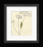 Summer Chorus I Fine Art Print