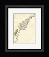 Summer Chorus III Fine Art Print