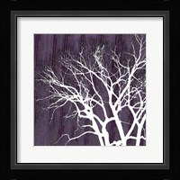 Aurora Silhouette I Fine Art Print