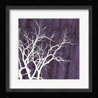 Aurora Silhouette II Fine Art Print