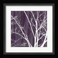 Aurora Silhouette III Fine Art Print