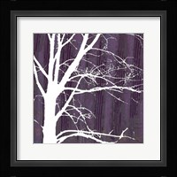 Aurora Silhouette IV Fine Art Print