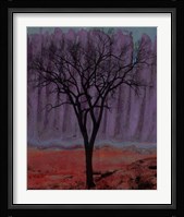 Aurora I Fine Art Print