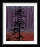 Aurora II Framed Print