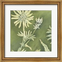 Verdigris Blossoms I Fine Art Print