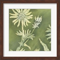 Verdigris Blossoms I Fine Art Print