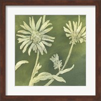 Verdigris Blossoms IV Fine Art Print
