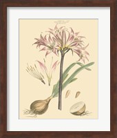 Blushing Pink Florals II Fine Art Print