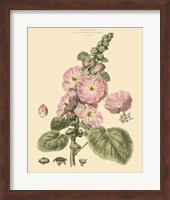 Blushing Pink Florals V Fine Art Print