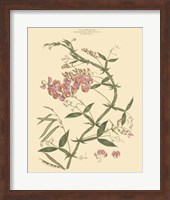 Blushing Pink Florals VI Fine Art Print