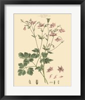 Blushing Pink Florals IX Fine Art Print