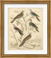 Avian Habitat I Fine Art Print