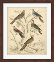 Avian Habitat I Fine Art Print