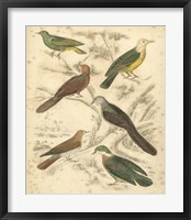 Avian Habitat II Fine Art Print