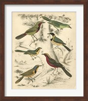 Avian Habitat III Fine Art Print