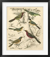 Avian Habitat III Fine Art Print