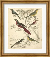 Avian Habitat IV Fine Art Print