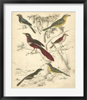 Avian Habitat IV Fine Art Print