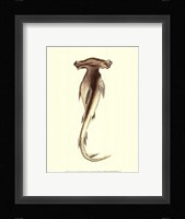 Shark Tale I Framed Print