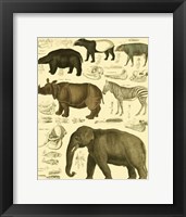 Elephant & Zebra Fine Art Print