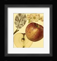Ripe for Harvest I Fine Art Print